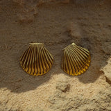 Bianca - Seashell Studs